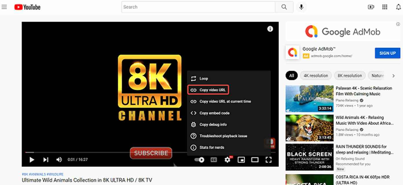 How to Download YouTube Videos in Ultra HD 8K Quality