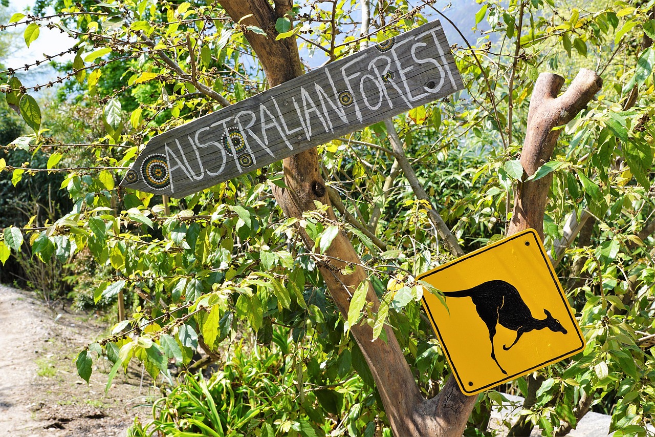 Cautionary signs to watch for