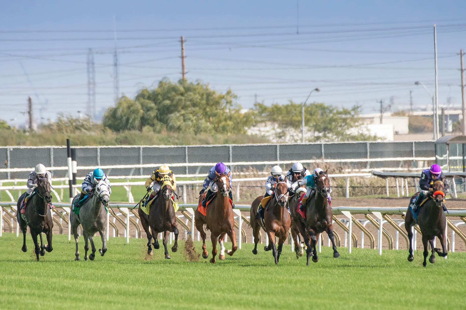 Best Racing Age for a Horse: clear guide for fans