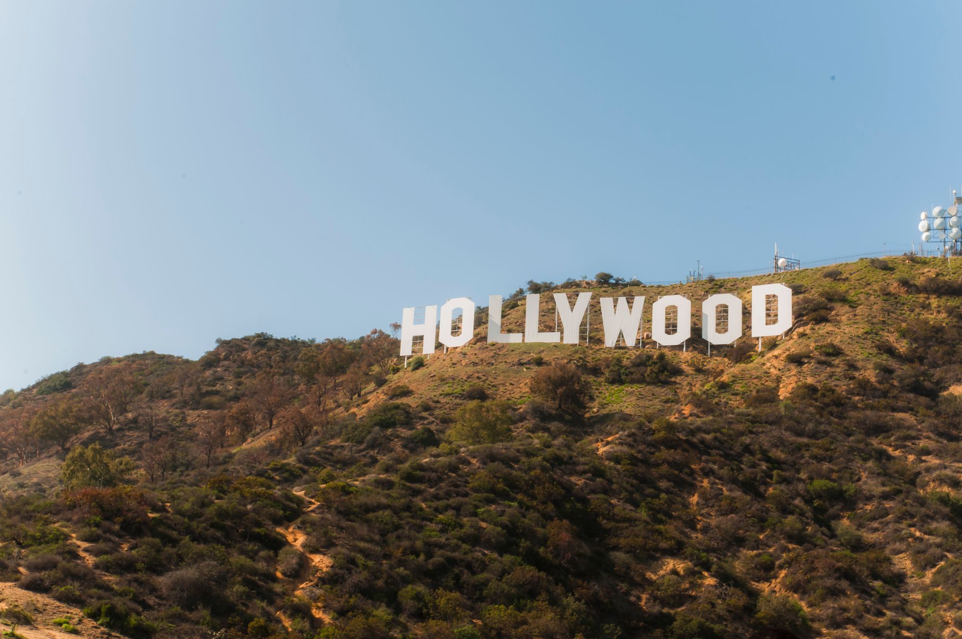 California business listings: what entertainment readers should know